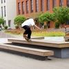 alexmurray146